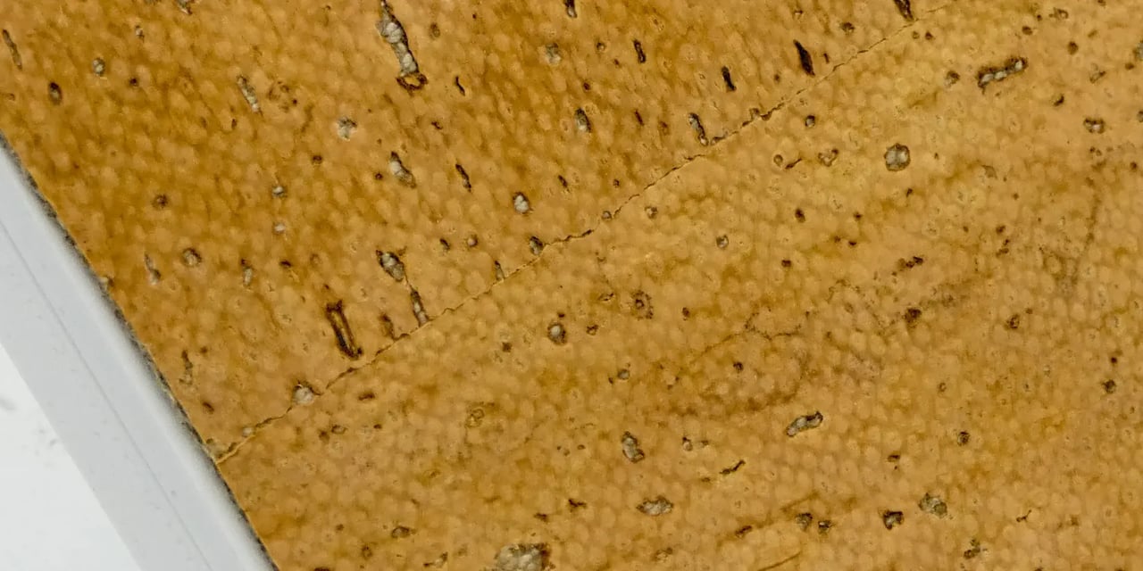 CORKonLINEN